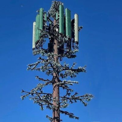 Bionic Tree Tower modüler tasarımı, özelleştirilebilir ağaç türleri ve boyu, anten montajları, kablo yönetimi ve yenilenebilir enerji toplayıcılarını destekler