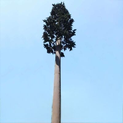 Bionic Tree Tower Yapısal güvenilirlik için çeşitli sıcaklıklarda yapay darbe gücü KV 27 joule