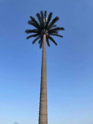 10 20 30 M Palm Tree Sahte Ağacı Hücre Kulesi Gizli Telekomünikasyon 5-80M