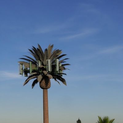 10 20 30 M Palm Tree Sahte Ağacı Hücre Kulesi Gizli Telekomünikasyon 5-80M