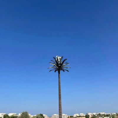 Biyonik Kamufle Hücre Kuleleri GSM Anten Çelik Monopole Telekom Kulesi Galvanizasyon