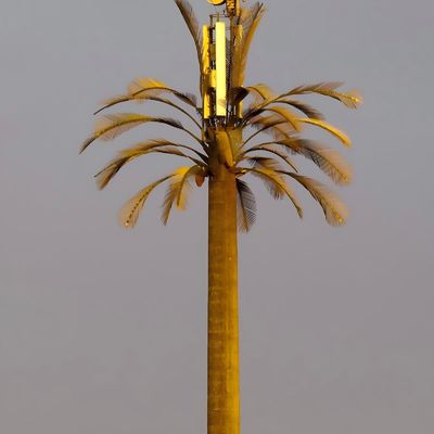 Kamuflajlı direği Palm / Pine Mikro Sahte Hücre Kulesi Ağaçlar 10 20 30 40 50 60 70 80 M