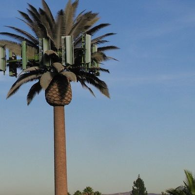 Galvanizli GSM Mobil Biyonik Palmiye Ağacı Anten Kulesi Tek Kutuplu 5g Kulesi Kamuflajı