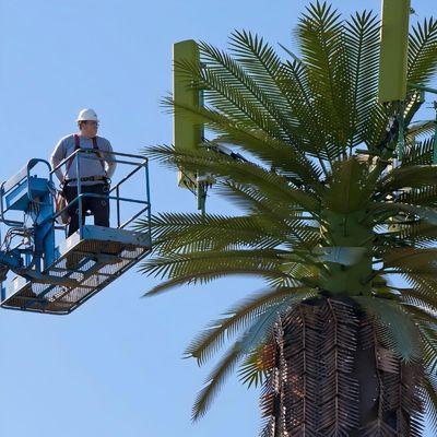 Galvanizli GSM Mobil Biyonik Palmiye Ağacı Anten Kulesi Tek Kutuplu 5g Kulesi Kamuflajı