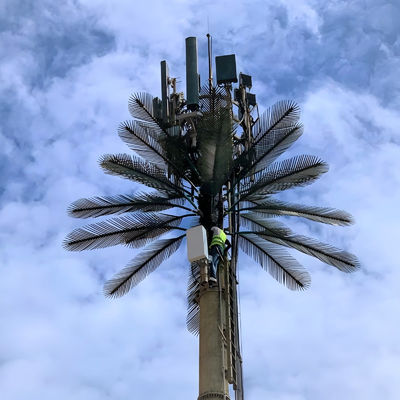 Galvanizli GSM Mobil Biyonik Palmiye Ağacı Anten Kulesi Tek Kutuplu 5g Kulesi Kamuflajı