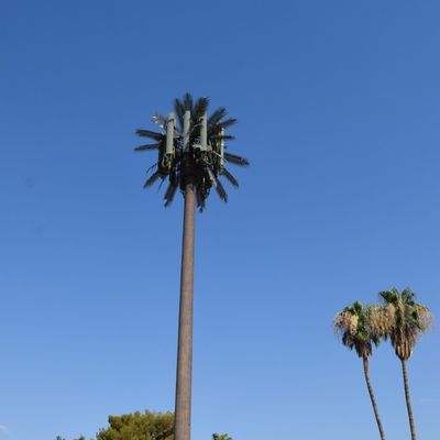 Özelleştirme 20m-50m İletişim Monopolu Yapay Ağaç Hücre Kuleleri Telekom Palm Bionic Gizlilik Ağaç direği Kulesi