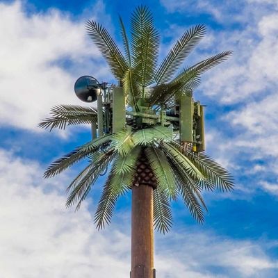 Palmiye Ağacı Sahte Ağacı Hücre Kulesi Gizli Telekomünikasyon 5-80M