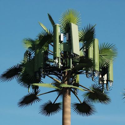 Palmiye Ağacı Sahte Ağacı Hücre Kulesi Gizli Telekomünikasyon 5-80M