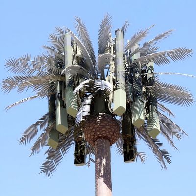 Palmiye Ağacı Sahte Ağacı Hücre Kulesi Gizli Telekomünikasyon 5-80M