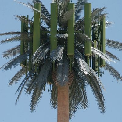 Mikrodalga Mobil Telekom Monopolu Sahte Palm Tree Hücre Kulesi Gizli Tarih İletişim Kulesi