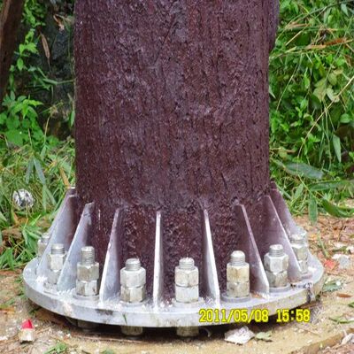 12 18 24M Topluluk Biyonik Ağaç Kamuflajlı Galvanizli Dış Mekan 5G 4G Mikrodalga İletişim Direği