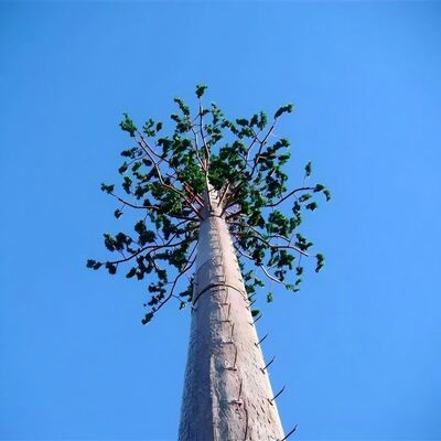 40M Bionic Tree Tower, yapay gövdeleri, yüksek dayanıklı plastik ve cam lif malzemelerinden yapılmış dalları ve yaprakları ile