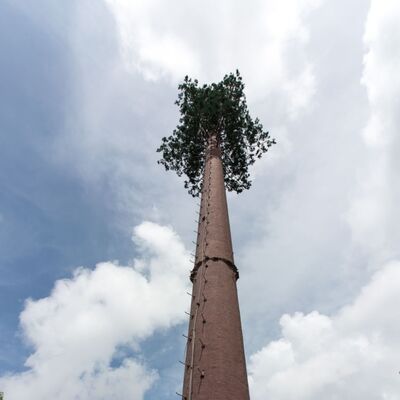 36M Bionic Tree Tower, dayanıklı cam lif yapay gövdeleri ve 5G antenleri ve çevre sensörleri için gizli platformlarla dallar ve yapraklar