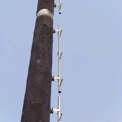 36M Bionic Tree Tower, dayanıklı cam lif yapay gövdeleri ve 5G antenleri ve çevre sensörleri için gizli platformlarla dallar ve yapraklar