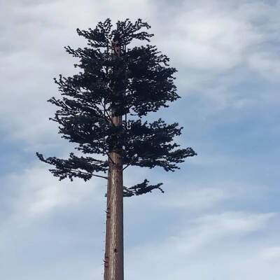 Telekomünikasyon ve çevresel sensör entegrasyonu için modüler tasarımlı Bionic Tree Tower yapay ağaç yapısı
