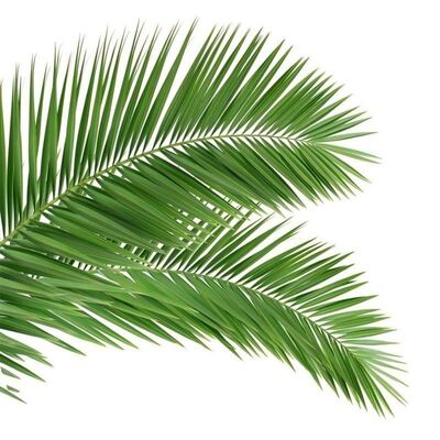 Ağaç benzeri görünüme sahip, kesintisiz peyzaj uyumu için fiberglas dallar ve gövdeler içeren Biyonik Ağaç Kulesi