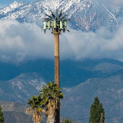 Bionic Tree Tower customizable modular components for height and tree species to fit various landscape requirements