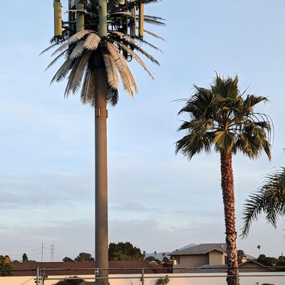 Tree Shaped Cell Tower Anti Rust Alloy 35m Mobile Network Rural Areas Natural Appearance