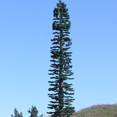 Bionic Tree Tower Yapısal güvenilirlik için çeşitli sıcaklıklarda yapay darbe gücü KV 27 joule