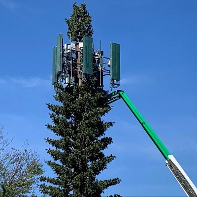 Bionic Tree Tower Yapısal güvenilirlik için çeşitli sıcaklıklarda yapay darbe gücü KV 27 joule