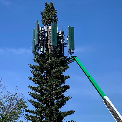 5G Kablosuz Ağ Estetik Entegrasyonu için Çevre Dostu Kamuflajlı Biyonik Çam Ağacı Kulesi Biyonik Palmiye Ağacı İletişim Direk Fabrikası