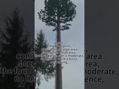 Biyonik Ağaç Kulesi